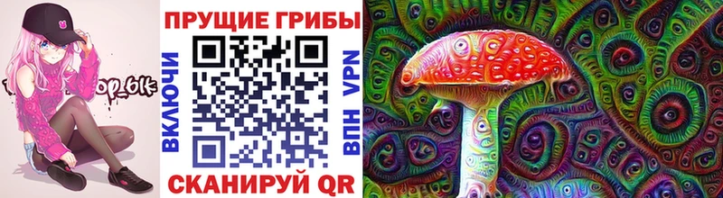 Галлюциногенные грибы Cubensis  kraken как войти  Камешково 